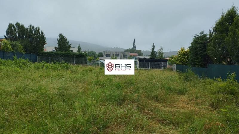 limbach 1.jpg