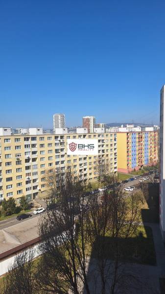 20250306_115503.jpg