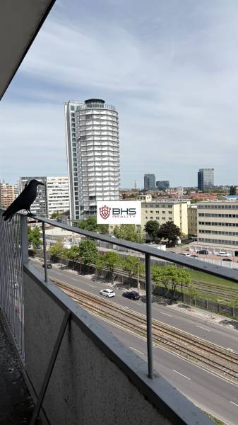 IMG_5270.jpeg